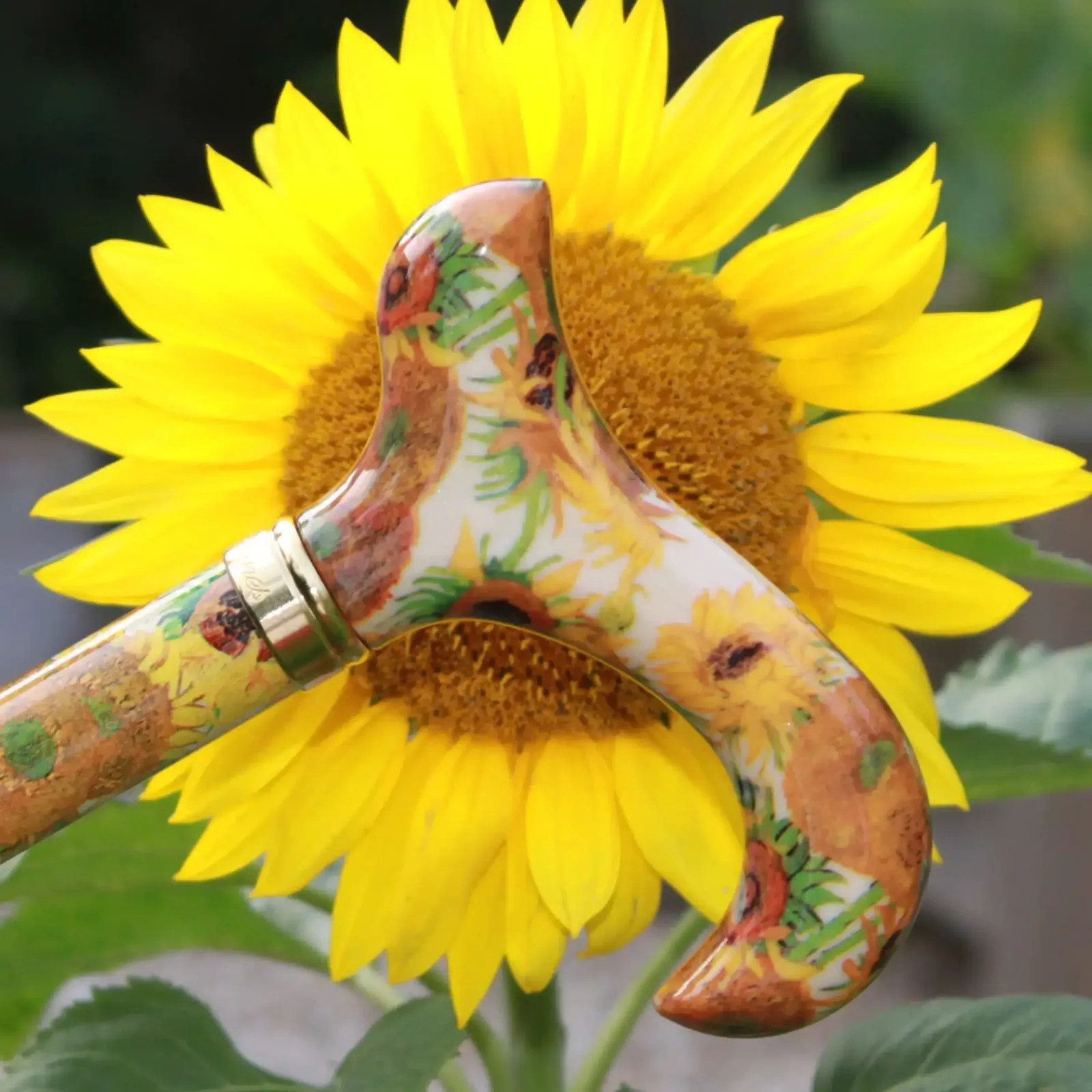 Sonnenblumen-Wanderstock