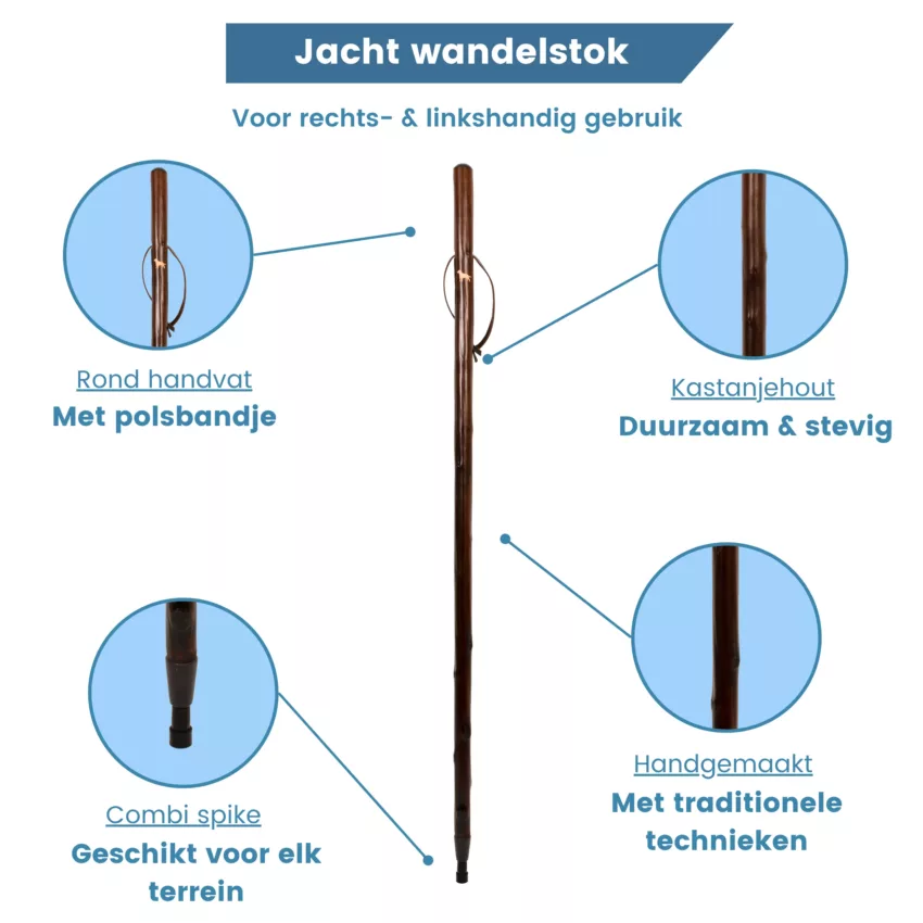 Gastrock, Jagdstock, Labrador Retriever, Kastanienholz, Ups