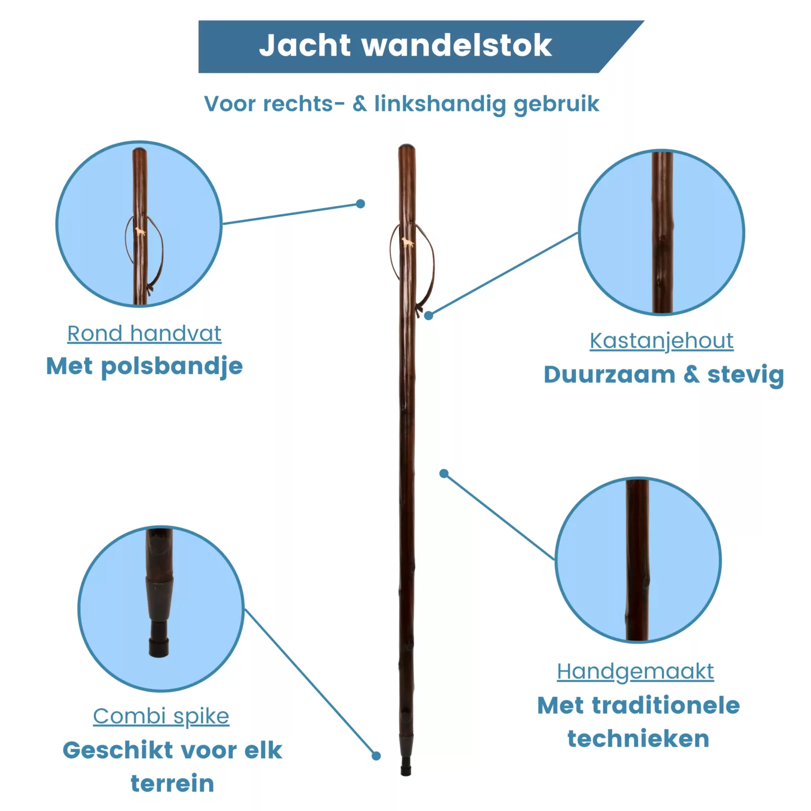 Gastrock, Jagdstock, Labrador Retriever, Kastanienholz, Ups