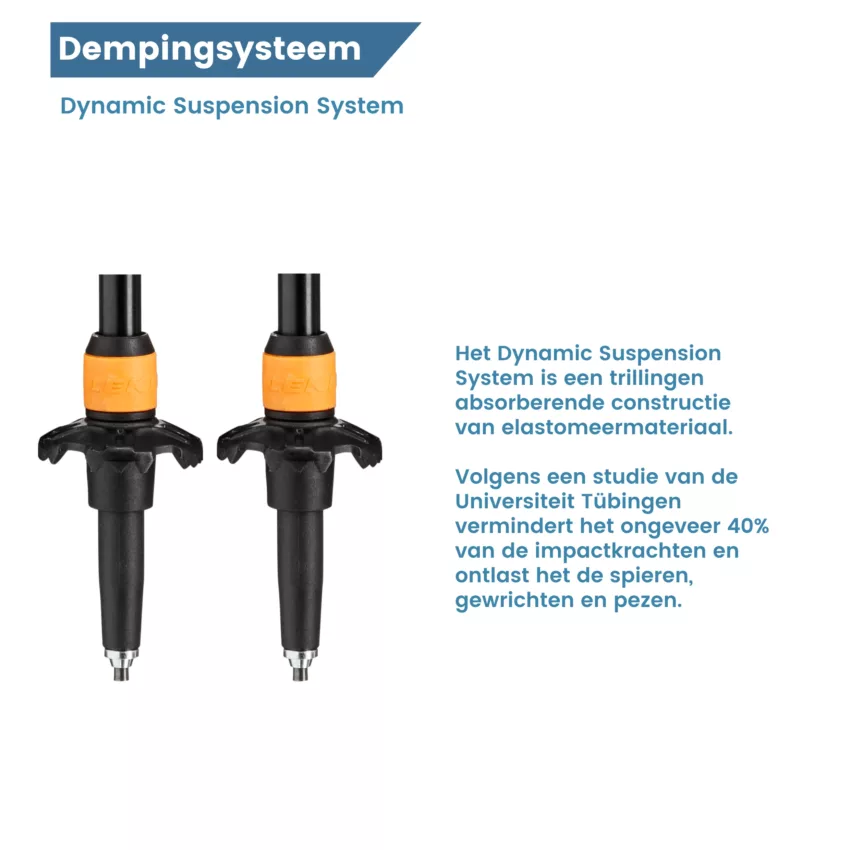 Dämpfungssystem