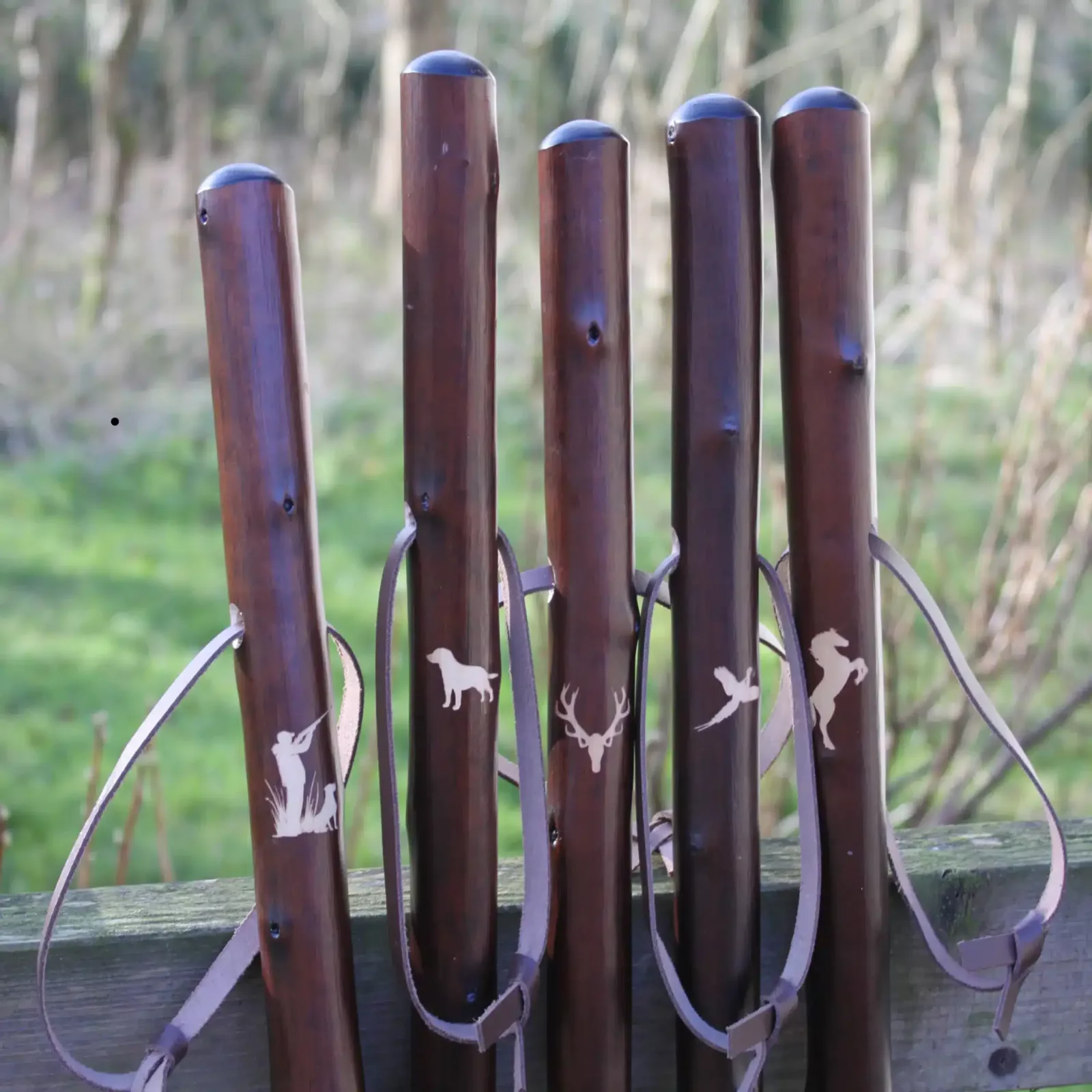 Jagdstöcke aus Kastanienholz, klassisch, Canes, Jäger mit Hund