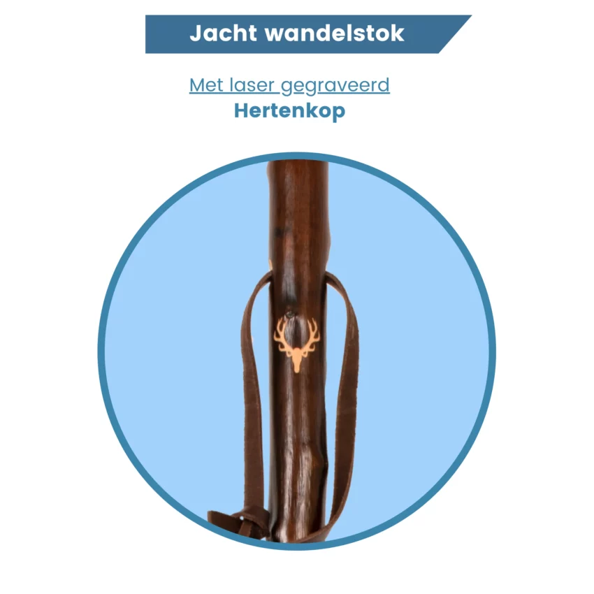 Jagdstock aus Kastanienholz mit eingraviertem Hirschgeweih