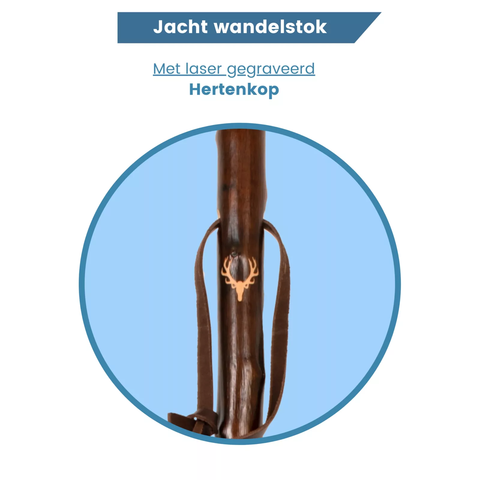 Jagdstock aus Kastanienholz mit eingraviertem Hirschgeweih