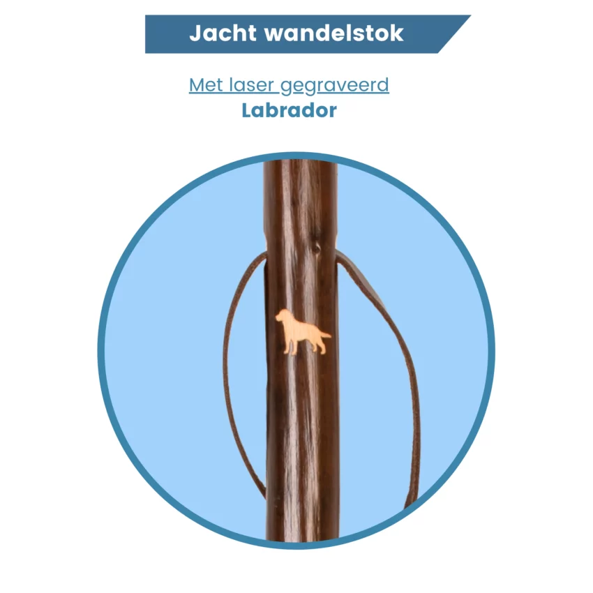 Jagdwanderstock, lasergraviert, Labrador