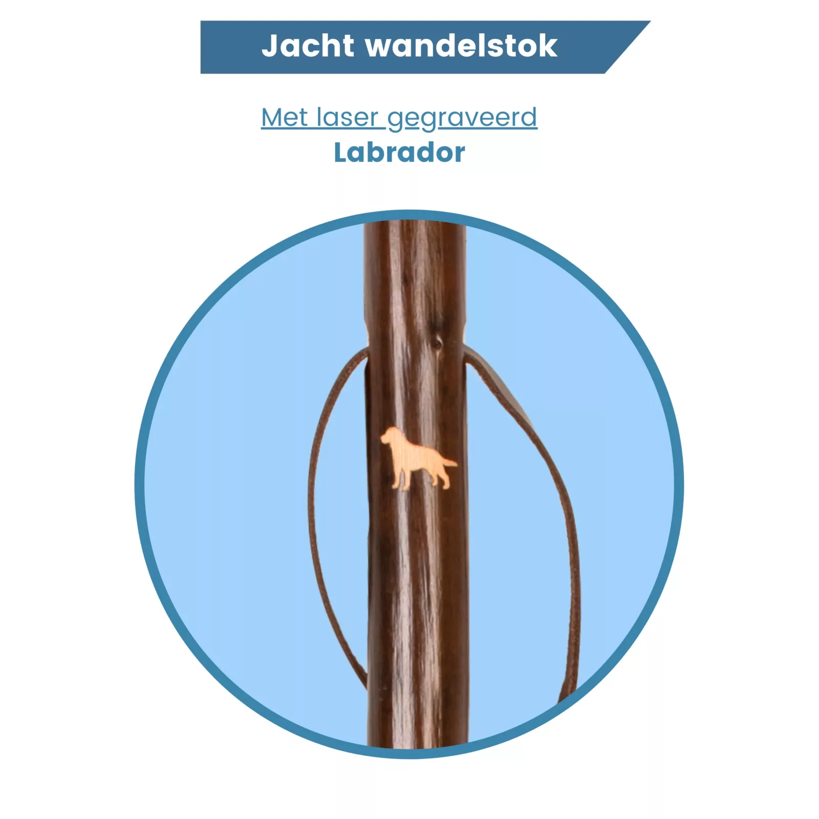 Jagdwanderstock, lasergraviert, Labrador