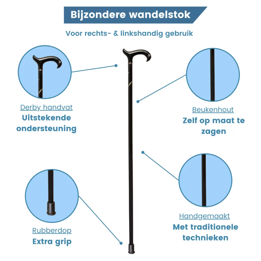Wanderstock aus Hartholz mit Kristallen (USP)